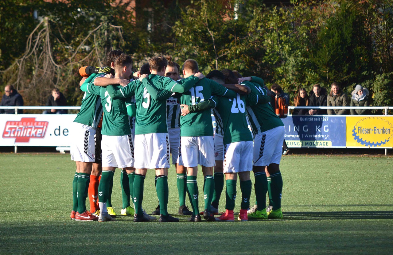 详情下载教程番茄社区app