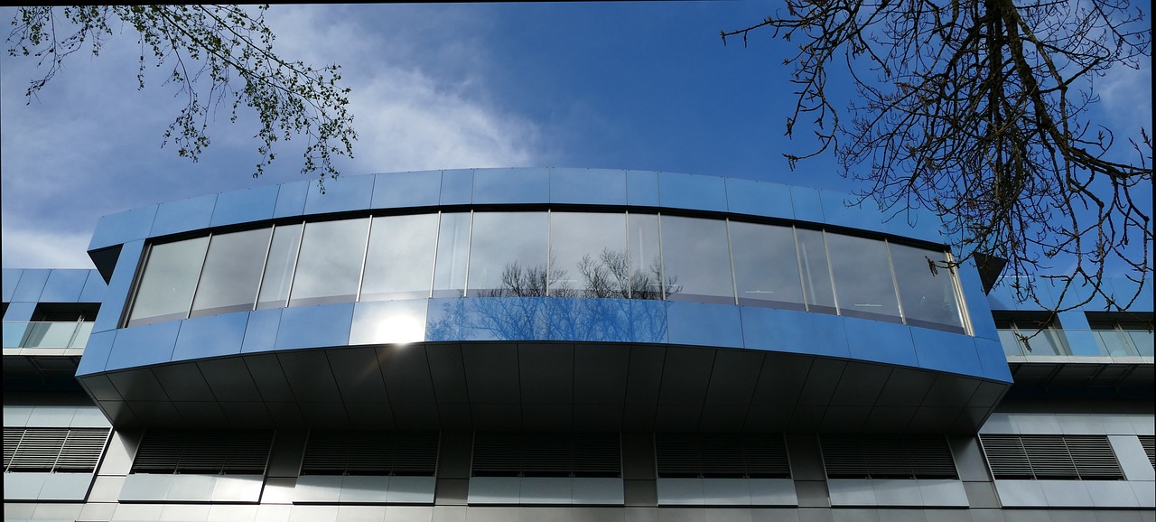 豪利时树叶爆珠：app个人所得税退税详情下载教程