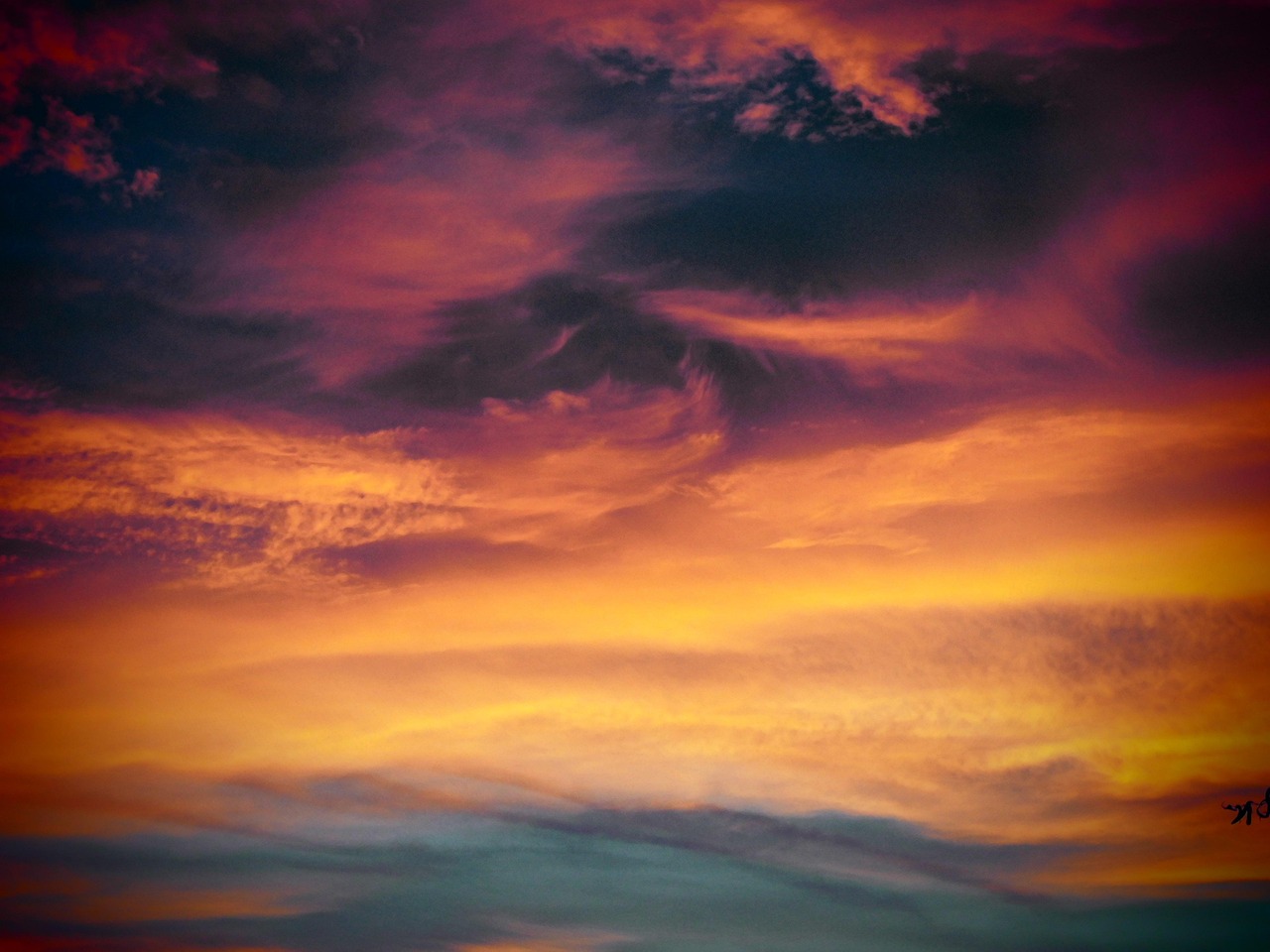 上海代理公司注册合同