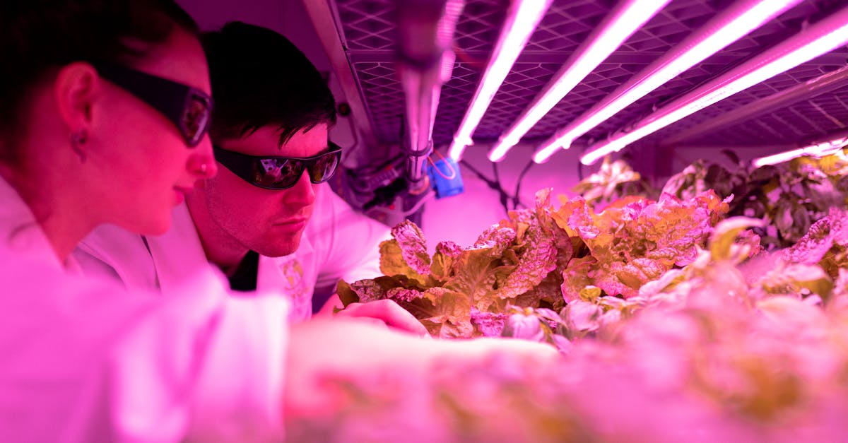 缅甸忠告图七星蓝莓：漳州美食购买平台